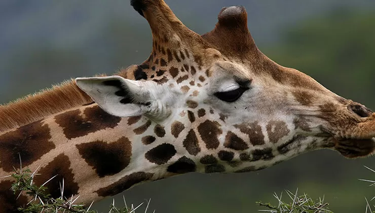 Dünya üzerindeki en garip çukurlar