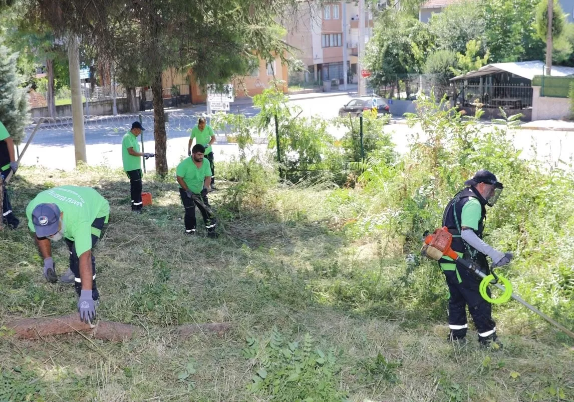 Körfez’de yabani ot biçme çalışmaları sürüyor