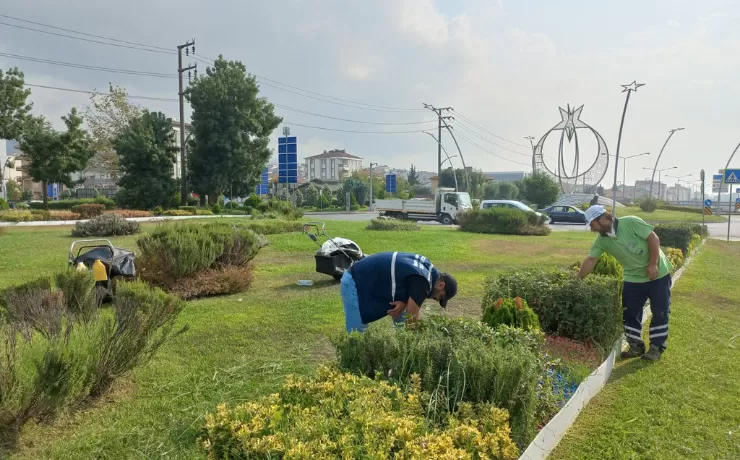 Derince’nin yeşil alanlarına bakım yapılıyor