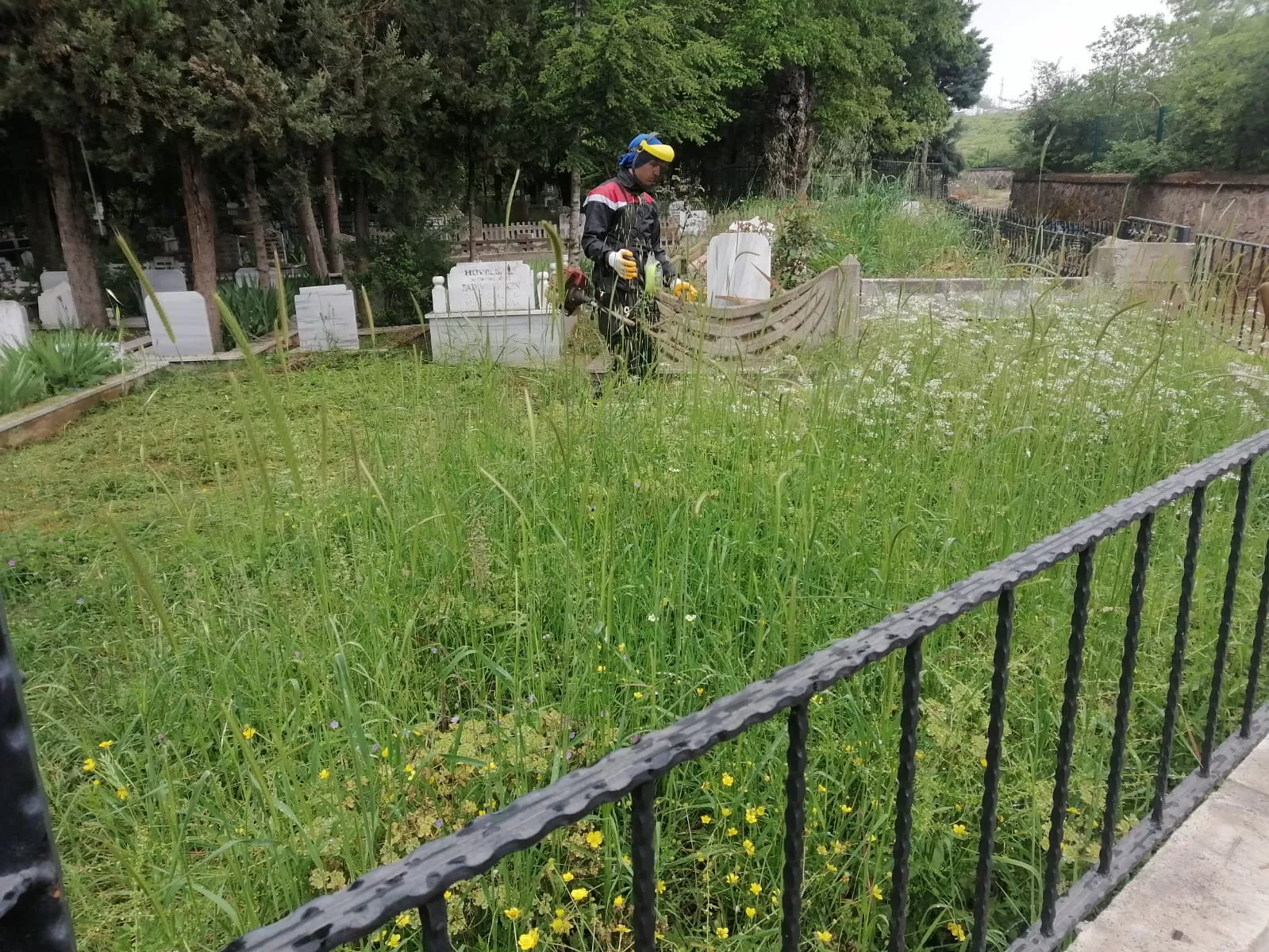 Körfez Mezarlığı’nda yabani ot temizliği