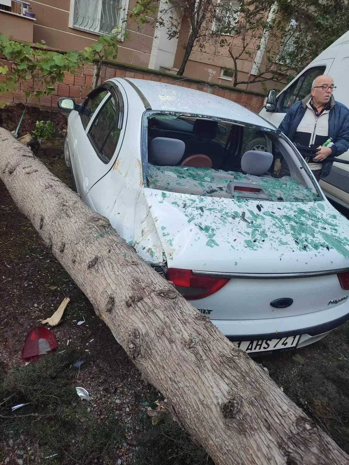 Ağaç 2 otomobilin üstüne devrildi: Sürücü yara almadan kurtuldu