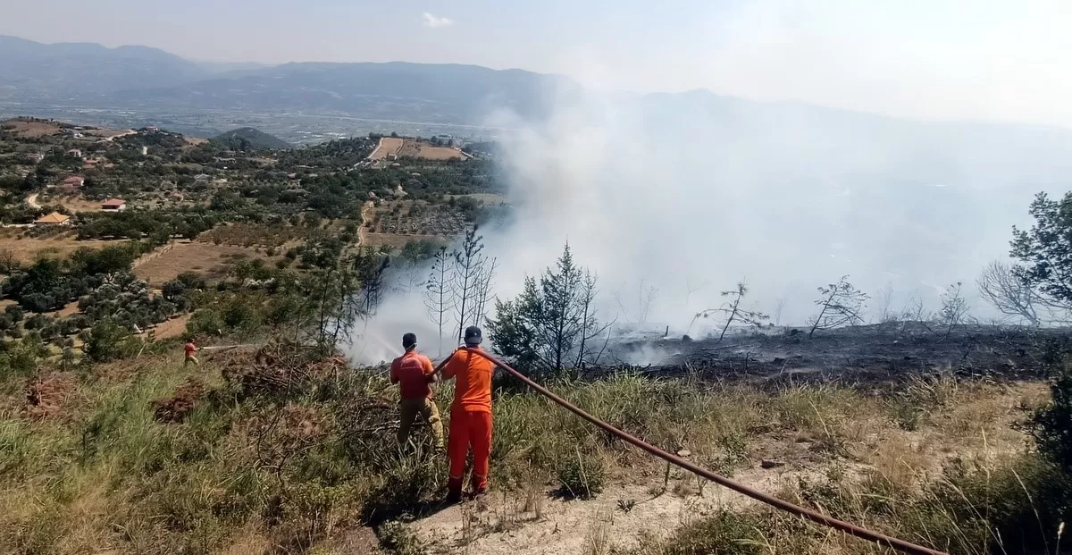 Sakarya’da orman yangını artışı: Jandarma uyardı