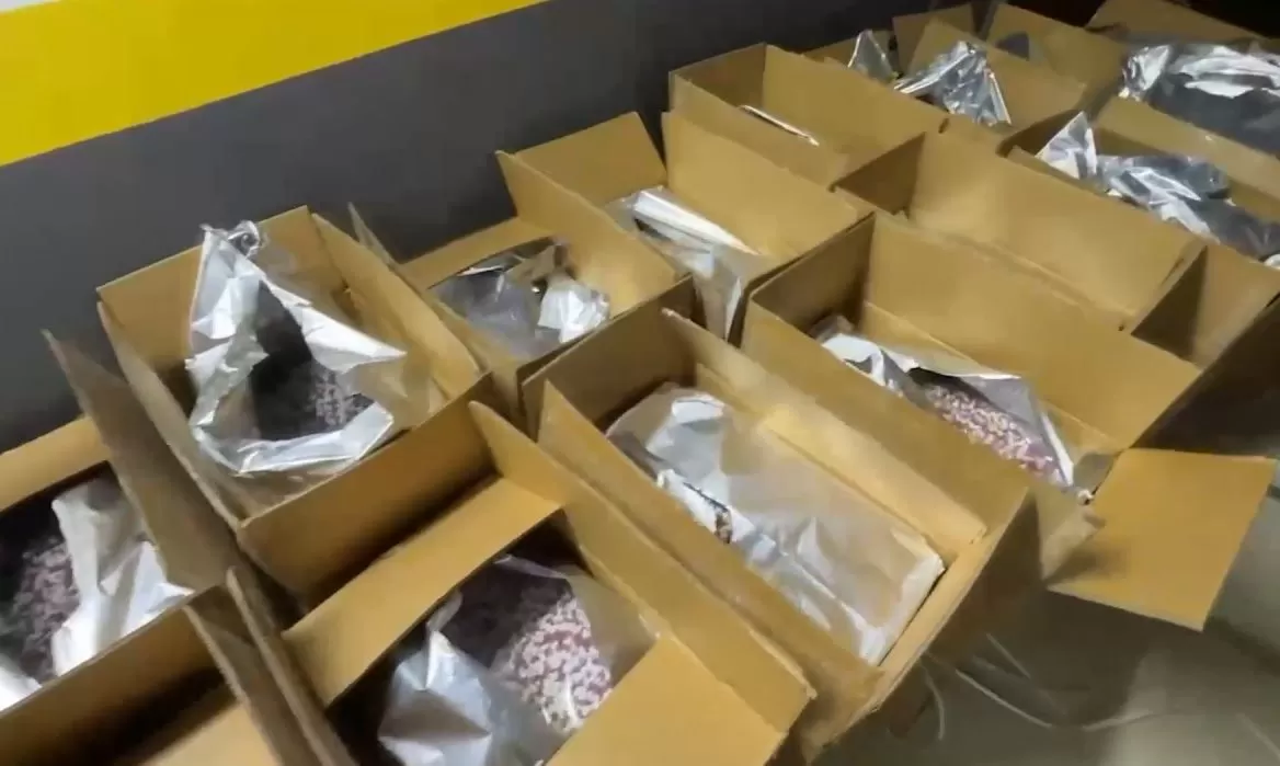 3 milyon 815 bin uyuşturucu hap ele geçirildi