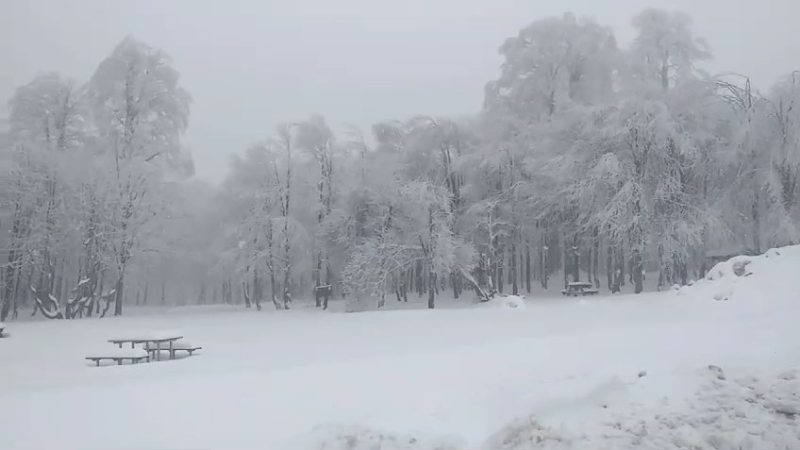 Kartepe'de kar yağışı etkili oluyor