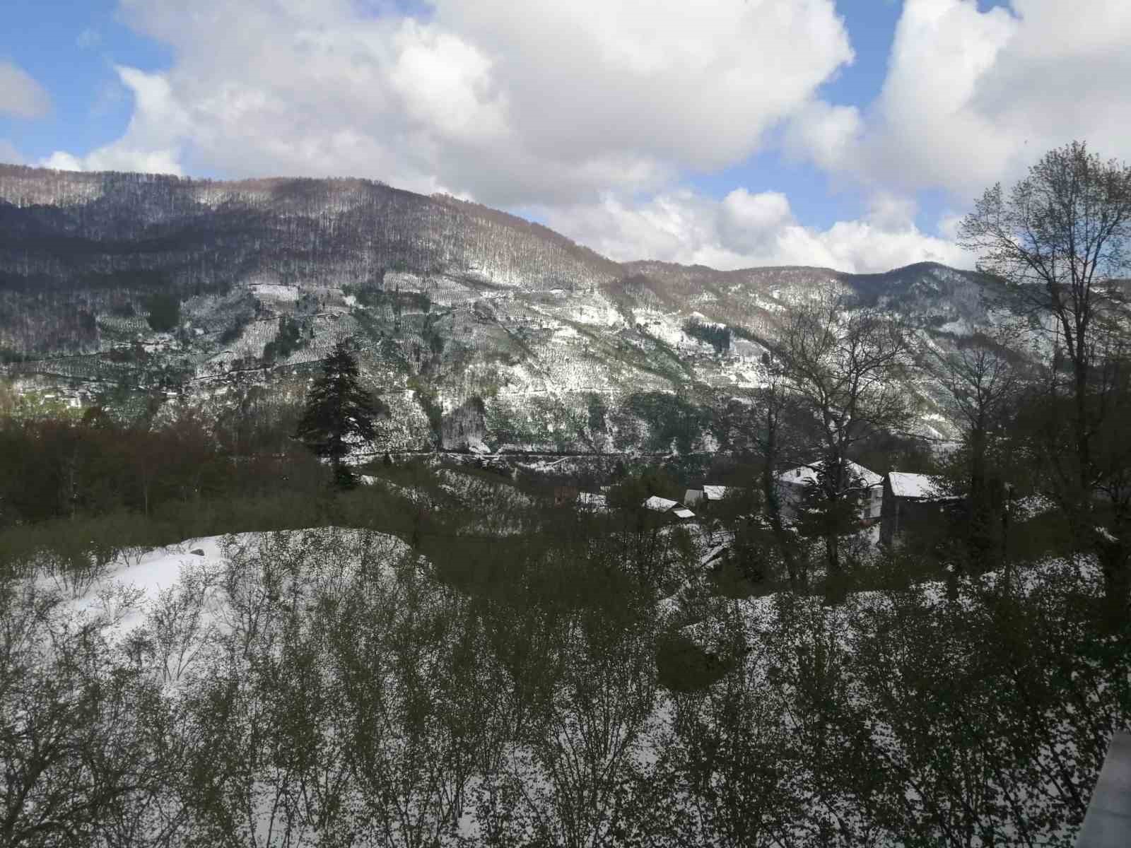 Yeşilin karla buluşması kartpostallık görüntüler sundu
