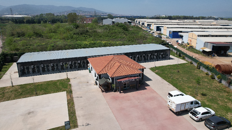 Proteo, sokak hayvanlarına şifa dağıtıyor