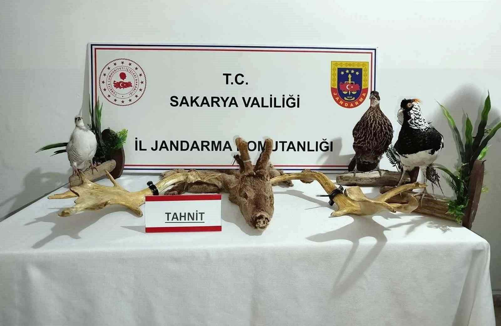 Hayvanat bahçesi gibi ev: Evinden çıkanlar hayrete düşürdü
