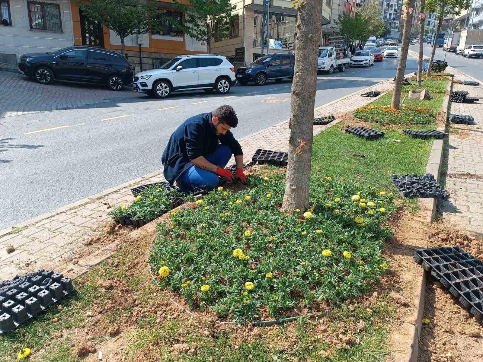 Kağıthane’de yeşil alanlarda bakım çalışması yapıldı
