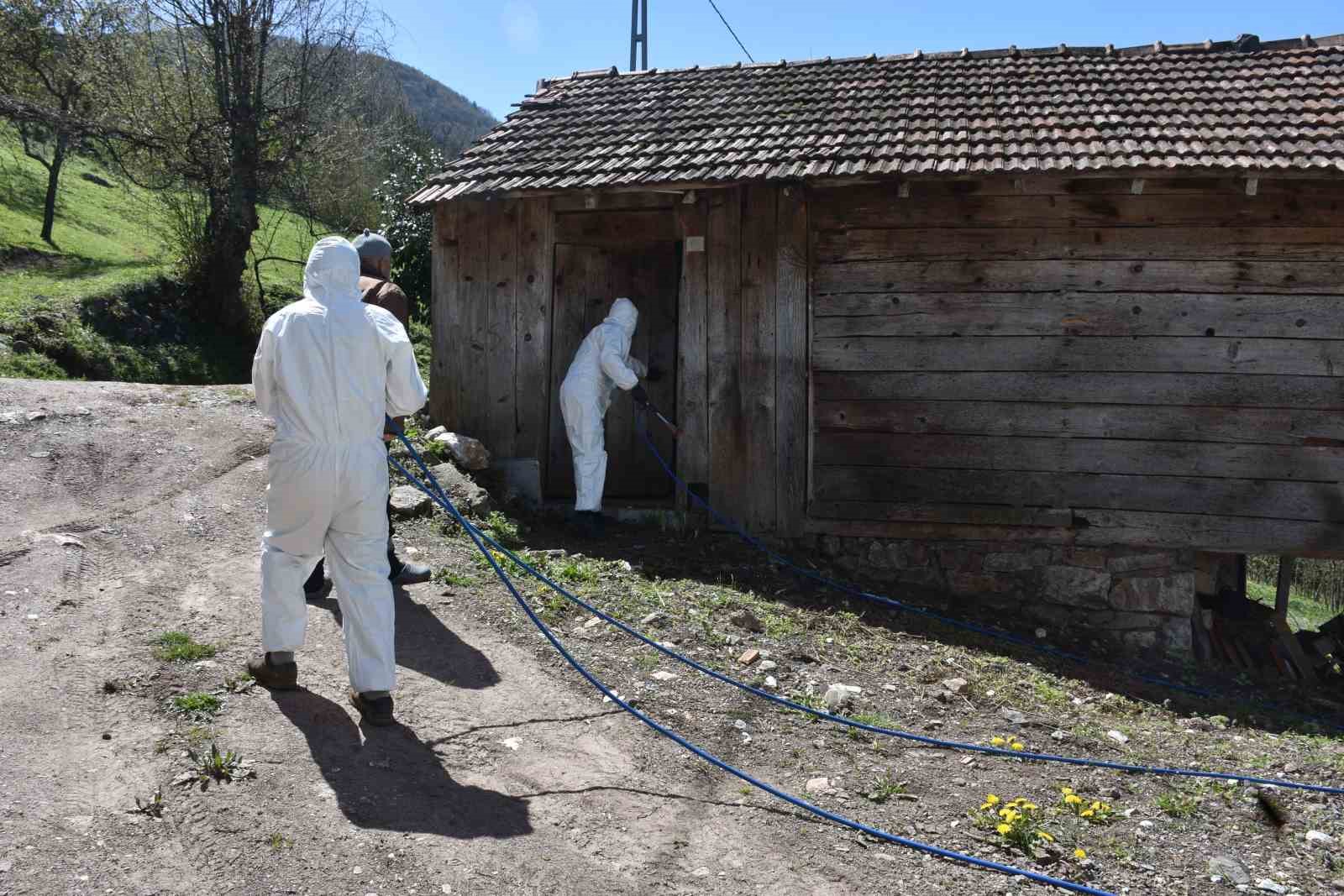 Çiftçinin korkulu rüyası kahverengi kokarca böceğine ilaçlı önlem
