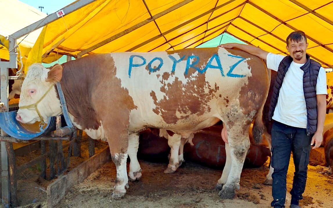 Pazarın ağır abisi "Poyraz" ilk günden satıldı
