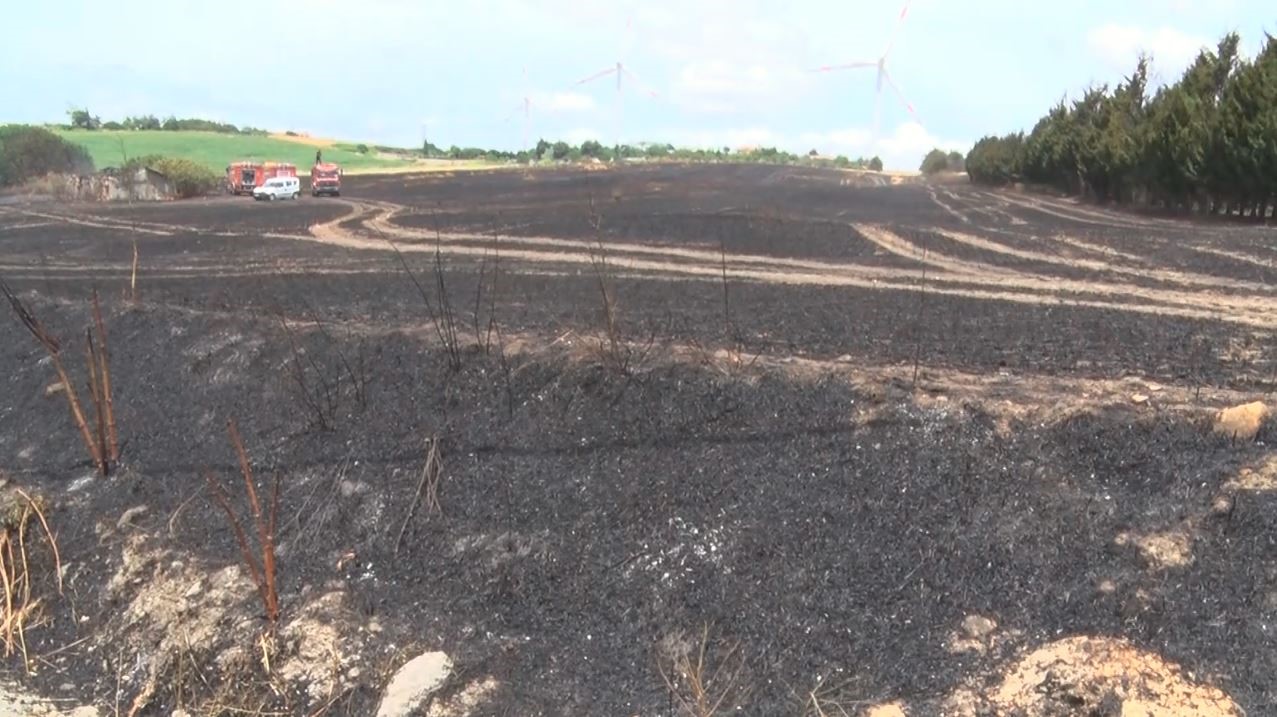 Silivri’de sigara izmariti 30 dönüm buğdayı küle çevirdi
