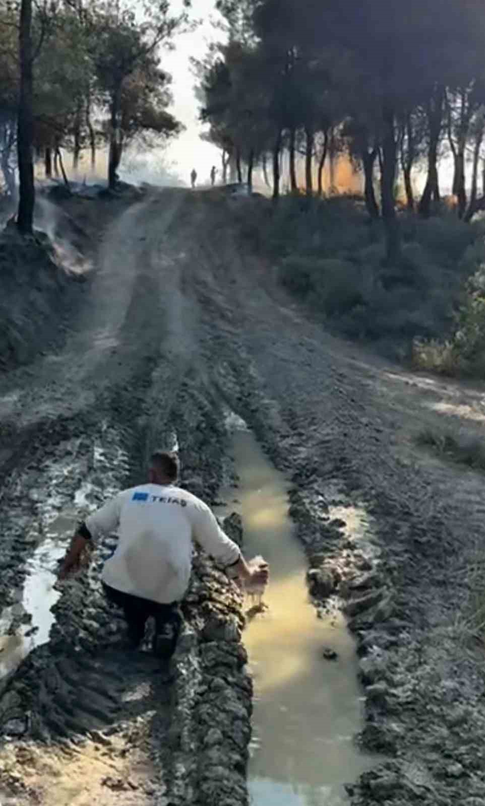 Alevlere elindeki pet şişeyle direndi: O anlar kamerada
