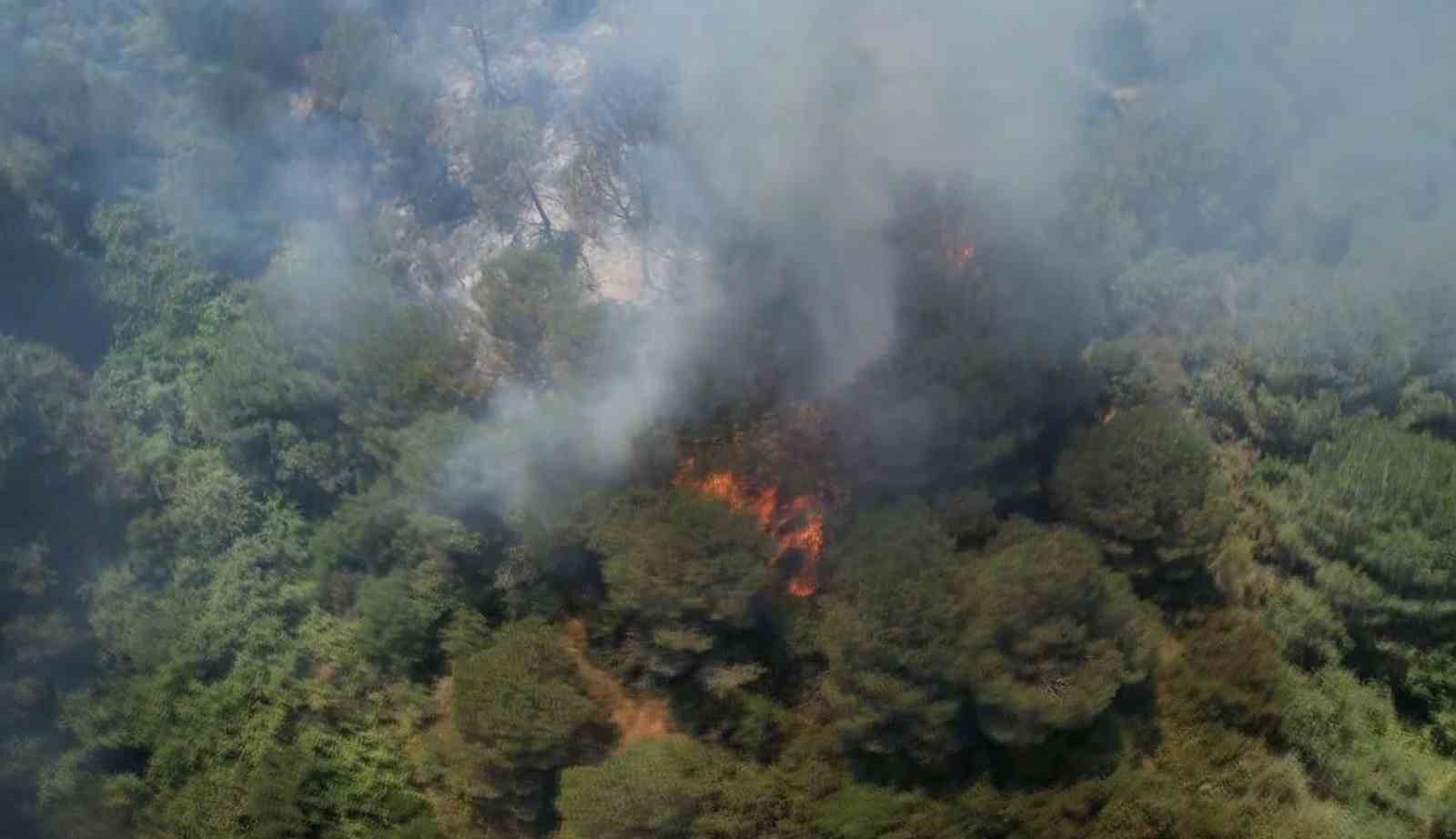 Sultangazi Kent Ormanı’nda yangın: İtfaiye ekipleri alevlere müdahale ediyor
