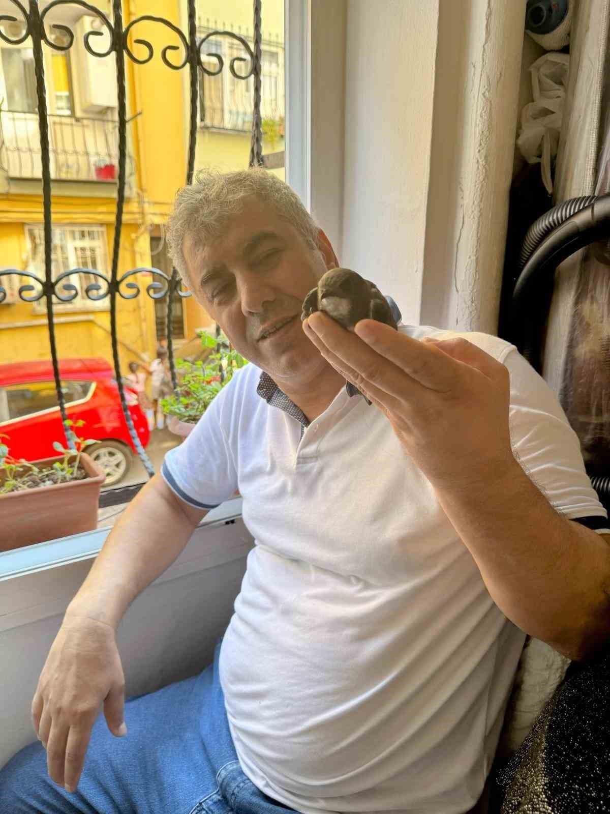 Beyoğlu’nda 6 yıl önce tedavisini yaptığı ebabil kuşu yeniden penceresine kondu
