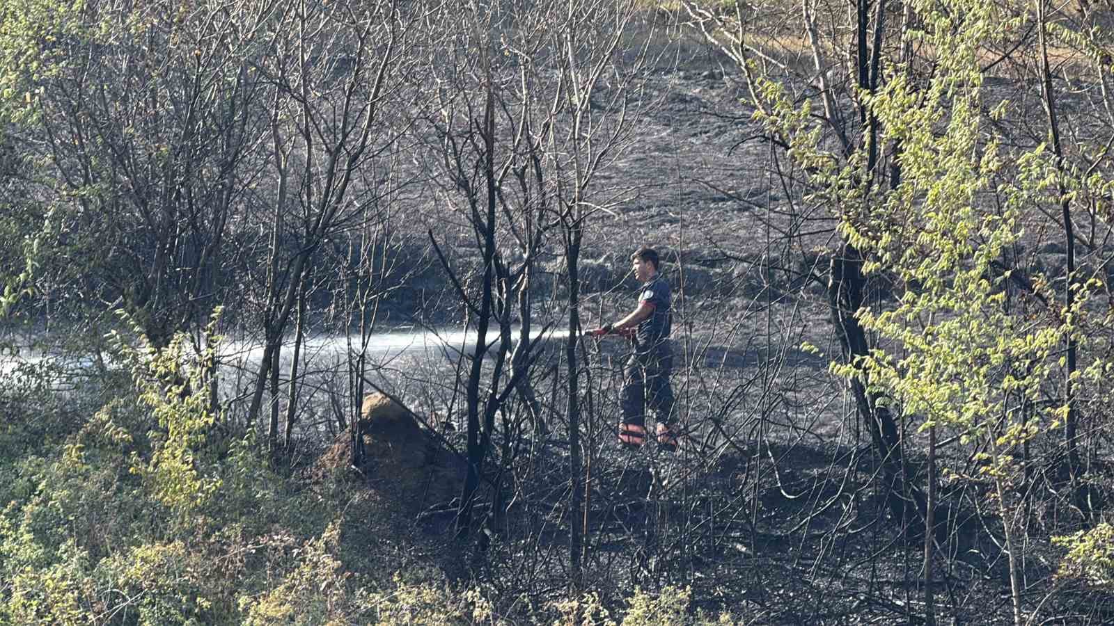 Faciayı itfaiye önledi
