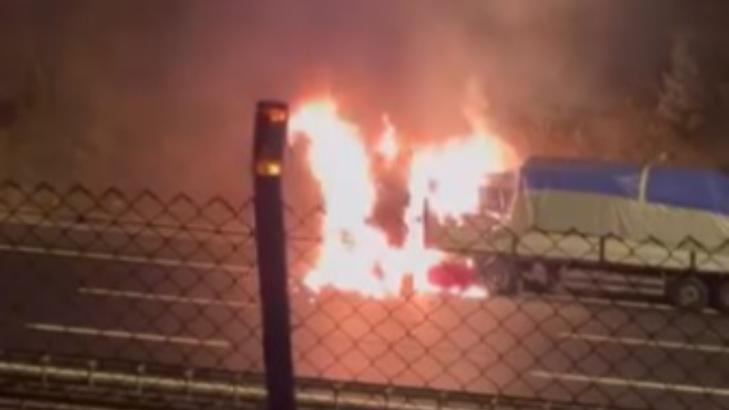 TEM'de seyir halindeki tır alevlere teslim oldu