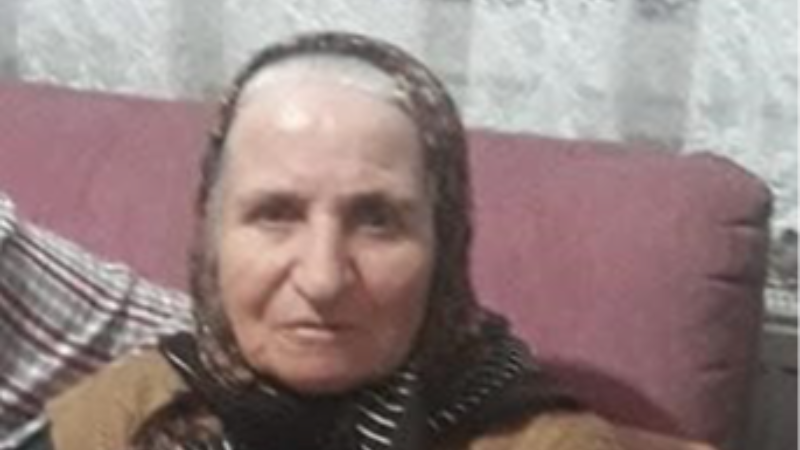 Otomobilin çarptığı yaşlı kadın hayatını kaybetti