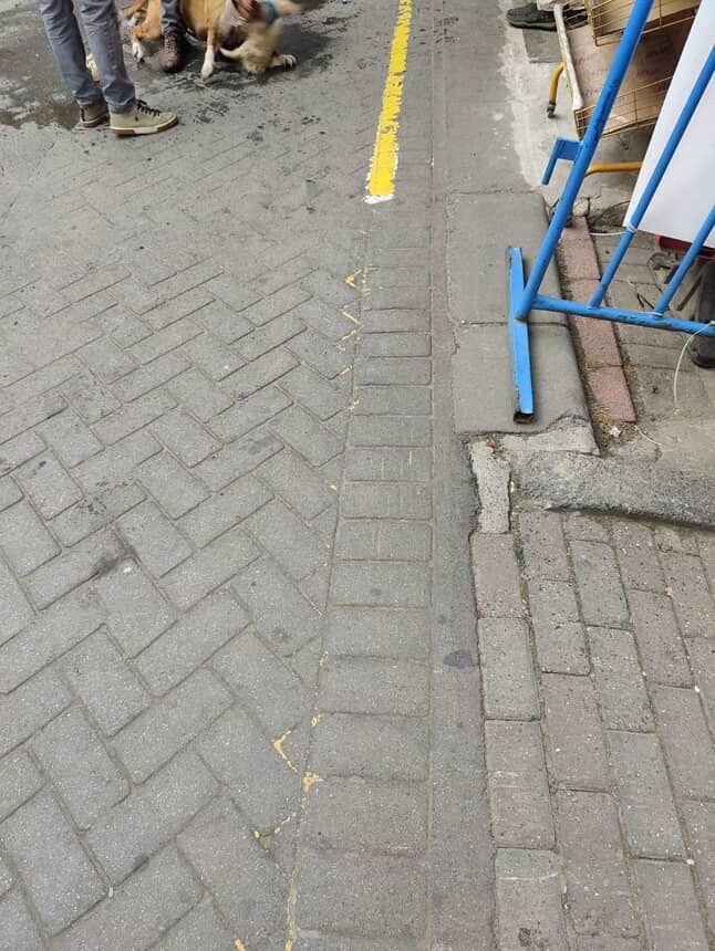 Gaziosmanpaşa’da ağızlıksız gezdirilen pitbull başka köpeğe saldırdı
