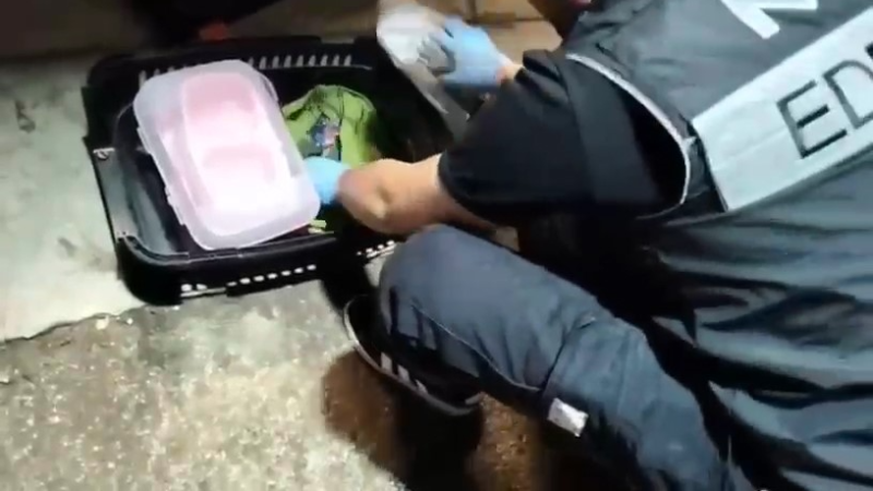 Kedi taşıma çantasında 2 kilo uyuşturucu ele geçirildi!