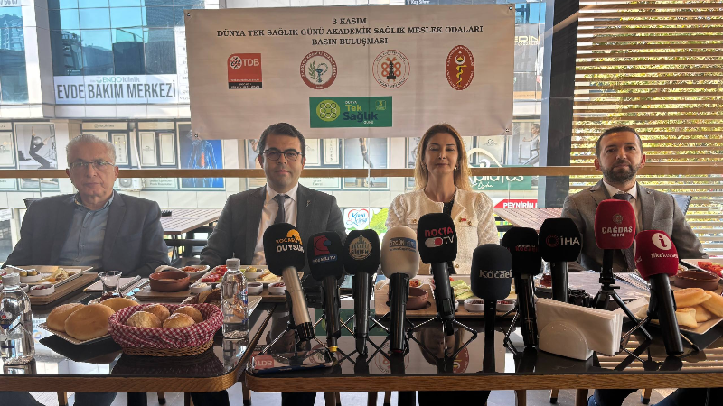 Sağlık odalarından 'Tek Sağlık Günü' mesajı