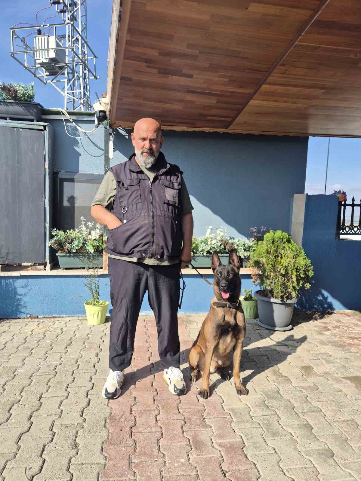 Köpek eğitmeni Eren Ay: "Köpekler kötü değildir, kötü eğitim vardır"