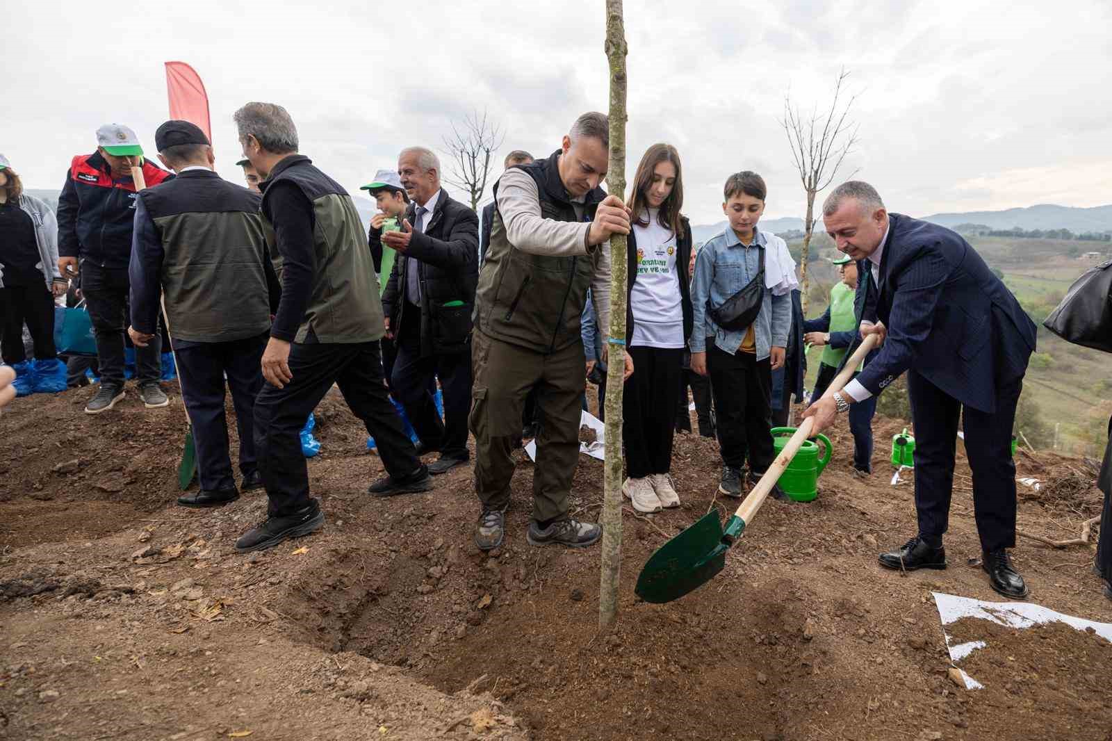 Karamürsel’de yanan bölge 3 bin fidanla yeniden yeşerecek