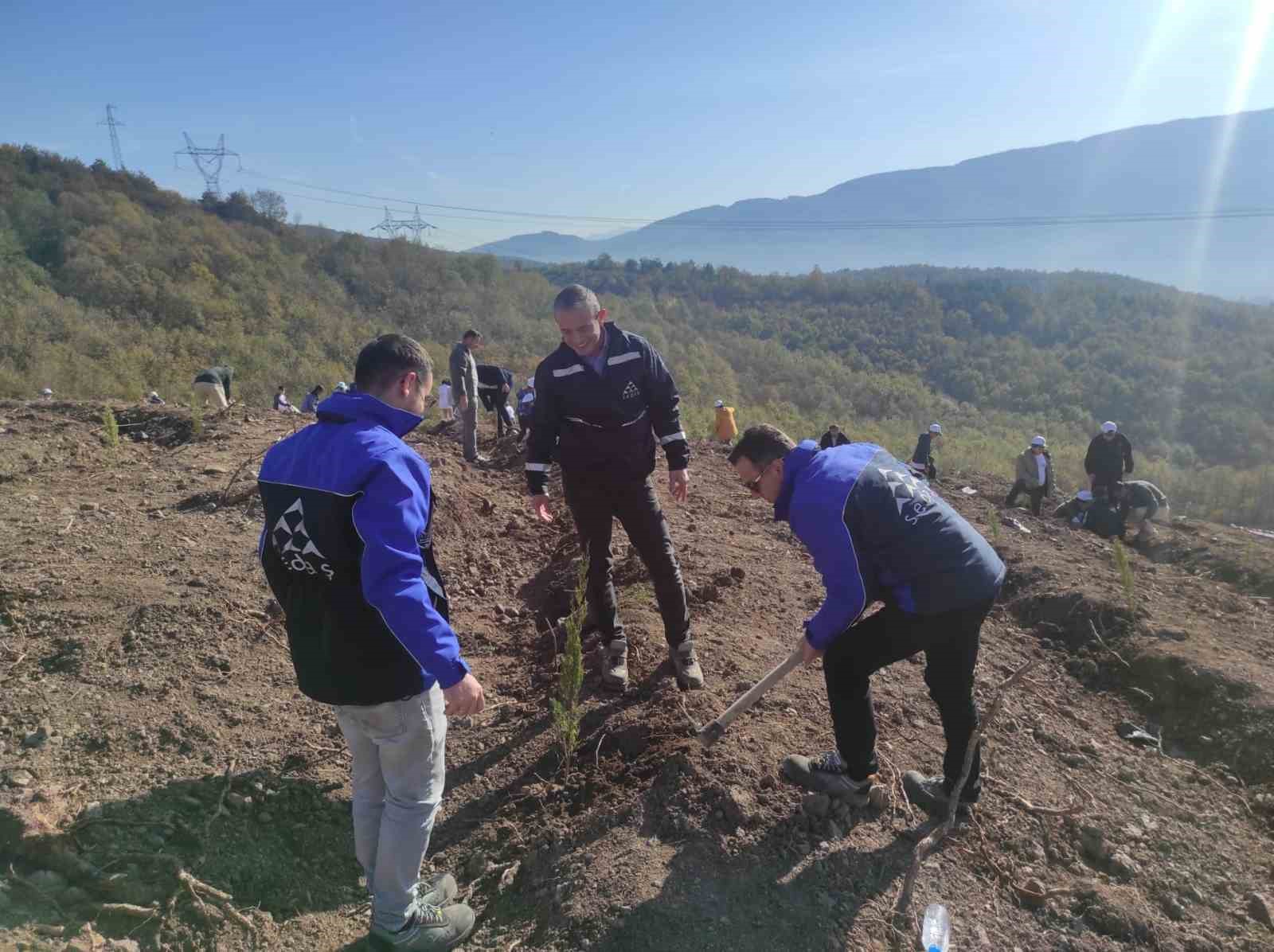 SEDAŞ, 4 ilde 500 fidanı toprakla buluşturdu
