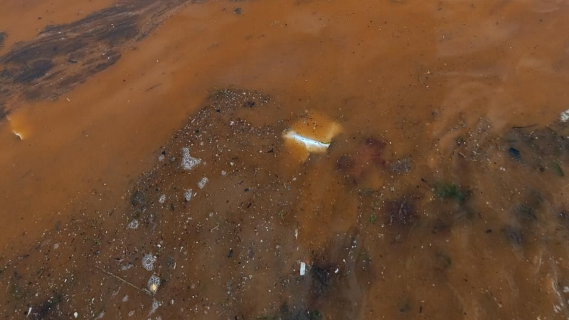 Körfez kahverengiye büründü!