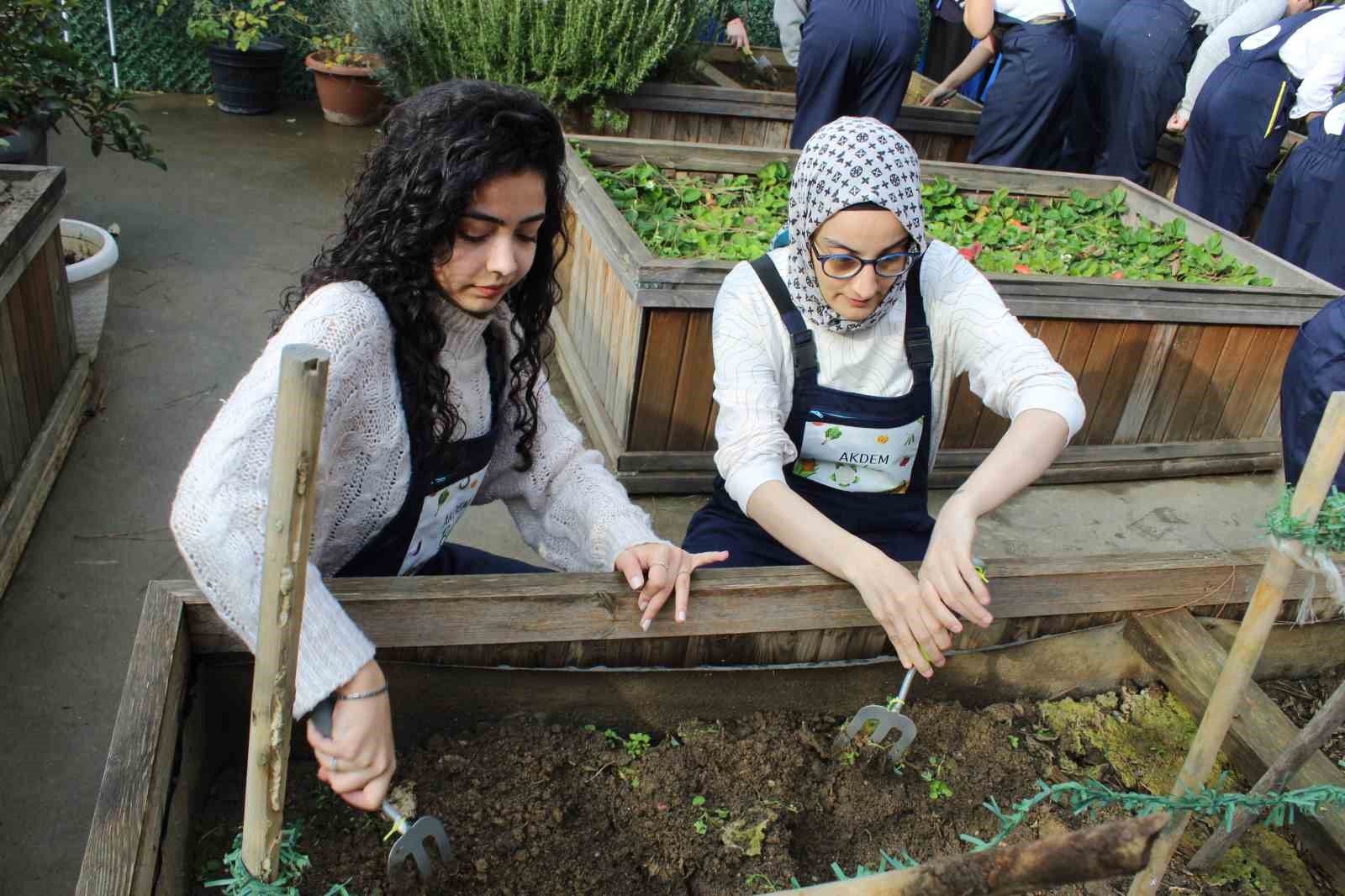 Zeytinburnu’nda ergoterapi öğrencileri engeli olan bireylerle birlikte fide ekti