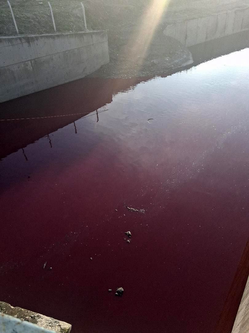 Esenyurt’ta derenin rengi kırmızıya döndü
