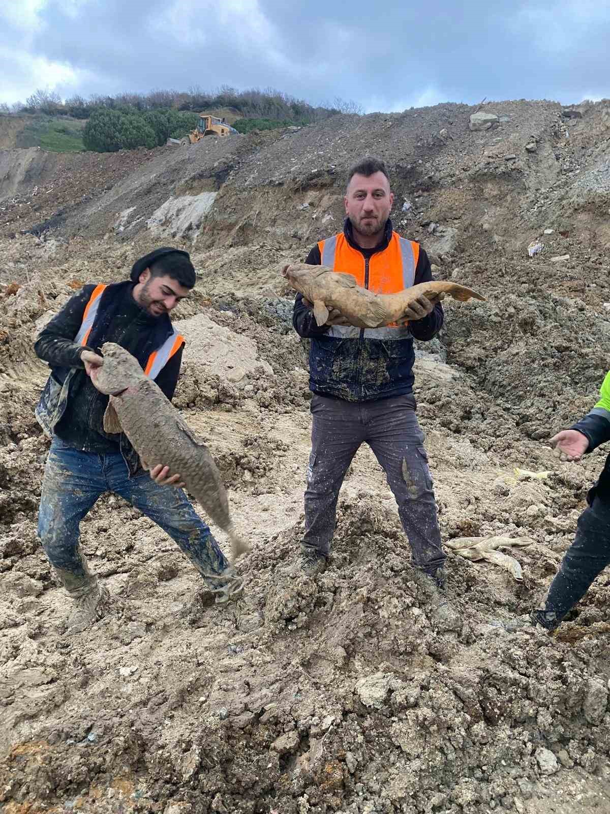 Arnavutköy’de İBB’nin döküm sahasına çevirdiği Mavi Göl’de balıklar can çekişiyor
