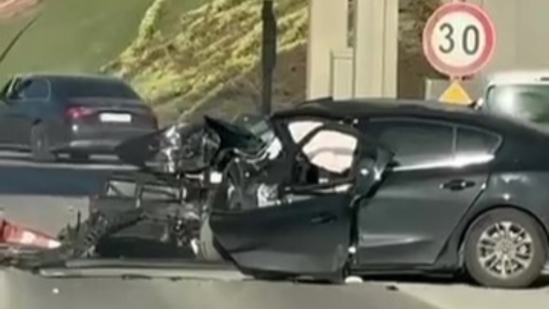 Anne ve oğul yaşam mücadelesini kaybetti