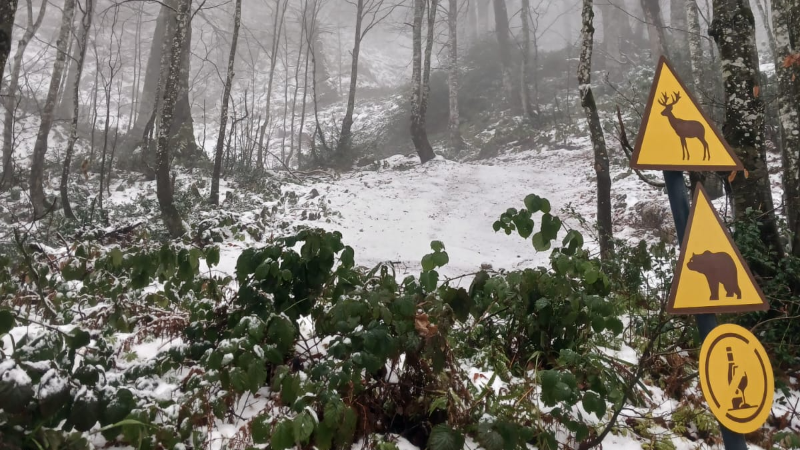 Kuzuyayla beyaza büründü