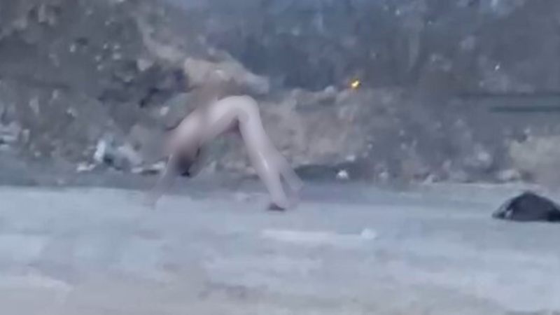 Çıplak şahıs polisi harekete geçirdi