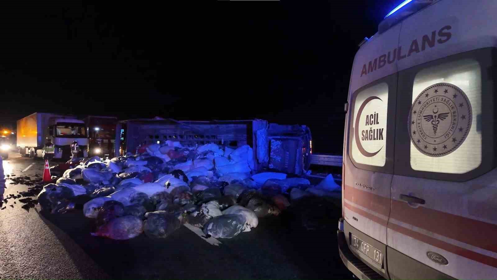 Kuzey Marmara Otoyolu’nda kamyonet devrildi: 2 yaralı