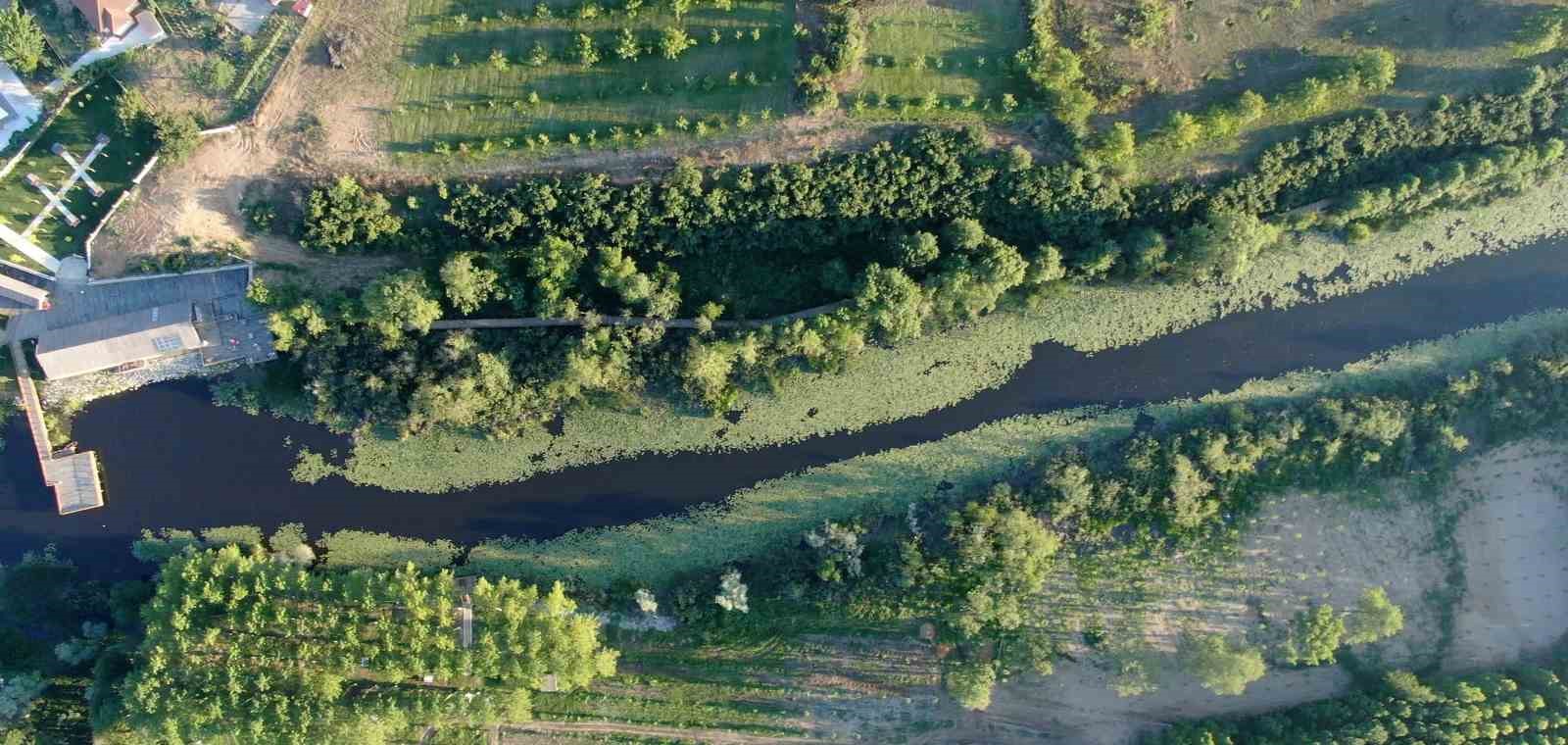 Doğanın kalbi Sakarya’da attı: İki yeşil noktaya 605 bin ziyaretçi