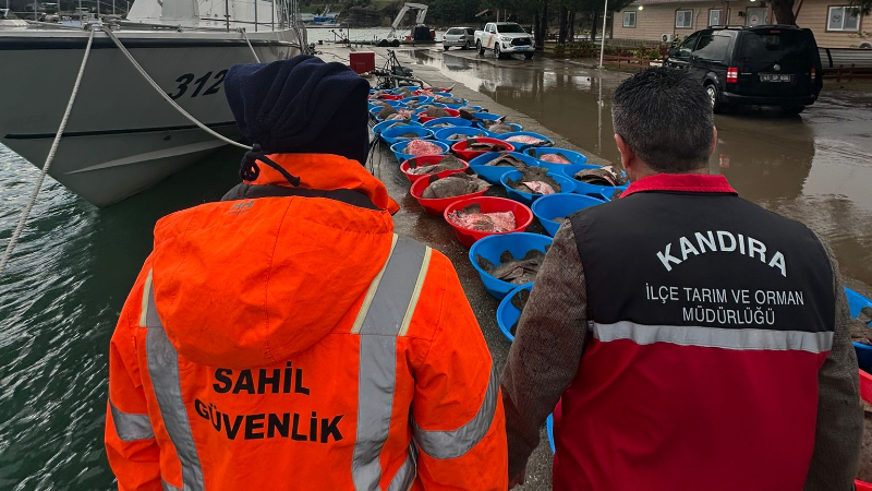 Kaçak avlanan 500 kalkan balığına el konuldu