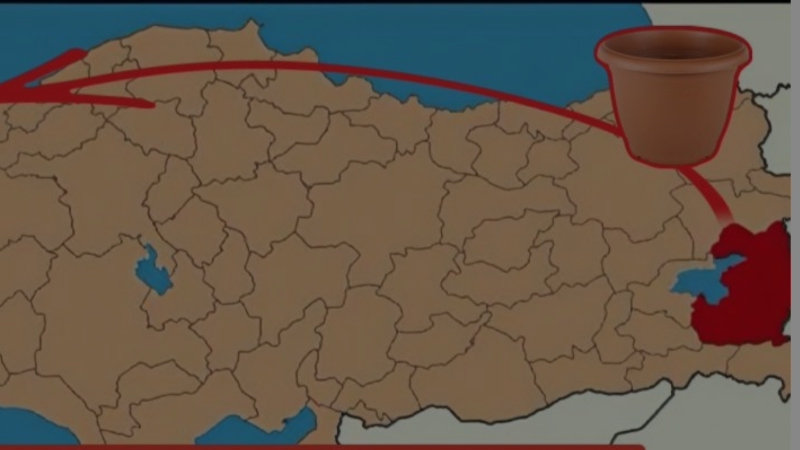 İzmit'te ilginç saksı tartışması