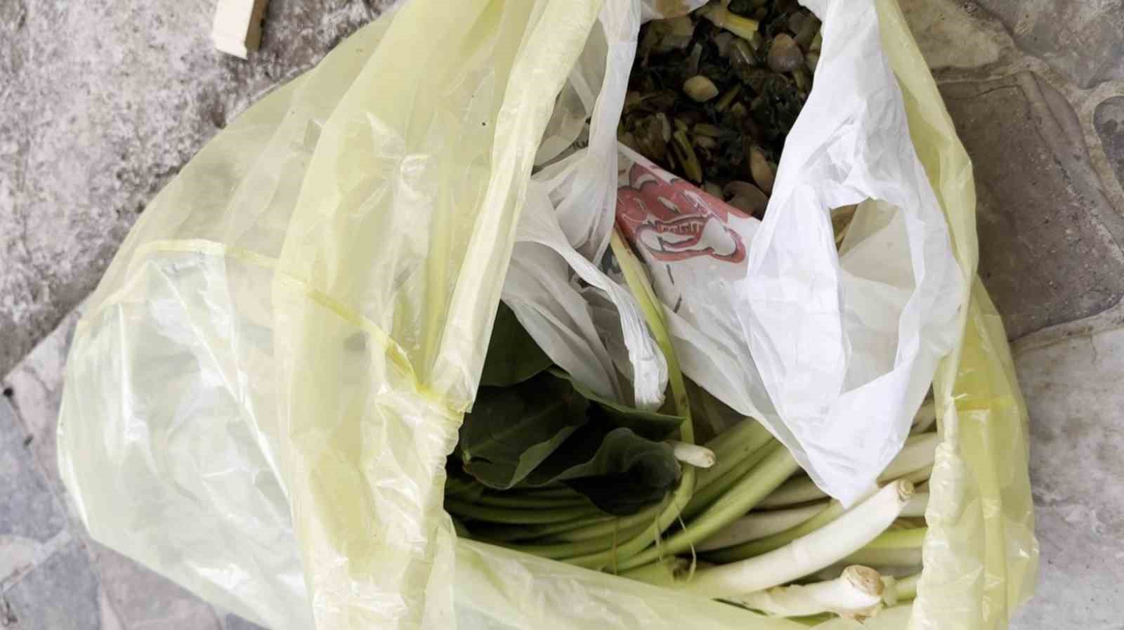 Doktor çiftin zor anları, ağzına alır almaz fenalaştı: "Pazı olarak aldığım ot, zehirli tirşik otu çıktı"
