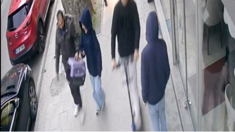Komşu esnafın "alın götürün" demesiyle 6 yıllık kedi götürüldü