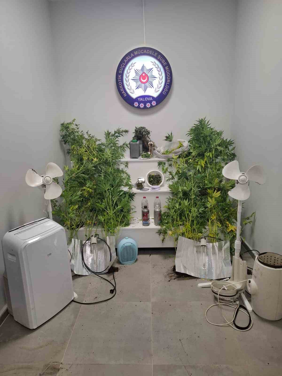 Yalova’da saklandığı evde uyuşturucu yetiştiren hükümlü yakalandı