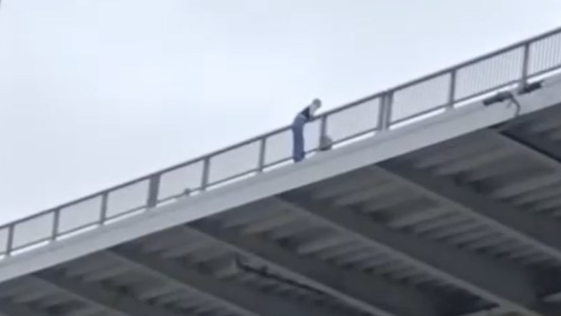Osmangazi Köprüsü'nde intihar