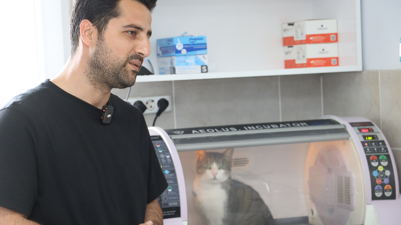 Körfez'in "Kral"ına diyafram fıtığı ameliyatı