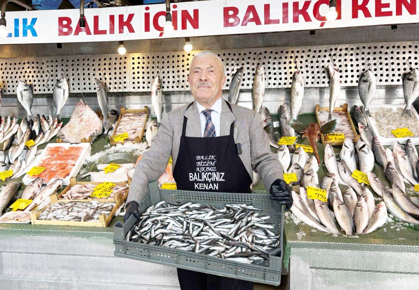 Balık sezonu sona erdi, Balıkçı Kenan hamsiye "madalya" taktı
