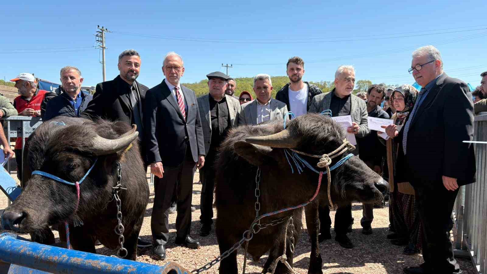 Manda yetiştiricilerine 3,4 milyon liralık destek