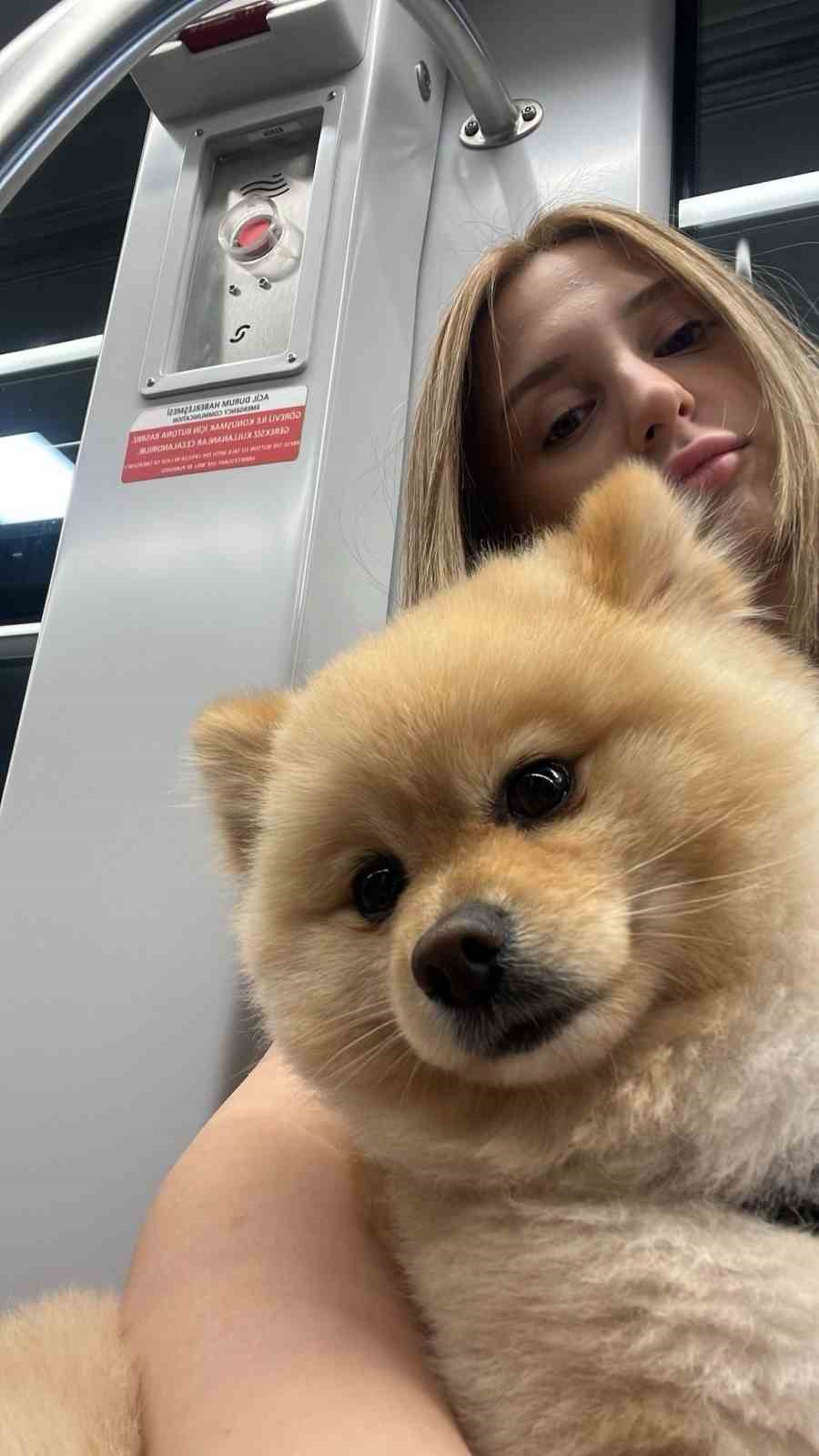 Gaziosmanpaşa’da "petshopta yıkanan köpeğin ihmalden öldüğü" iddiası

