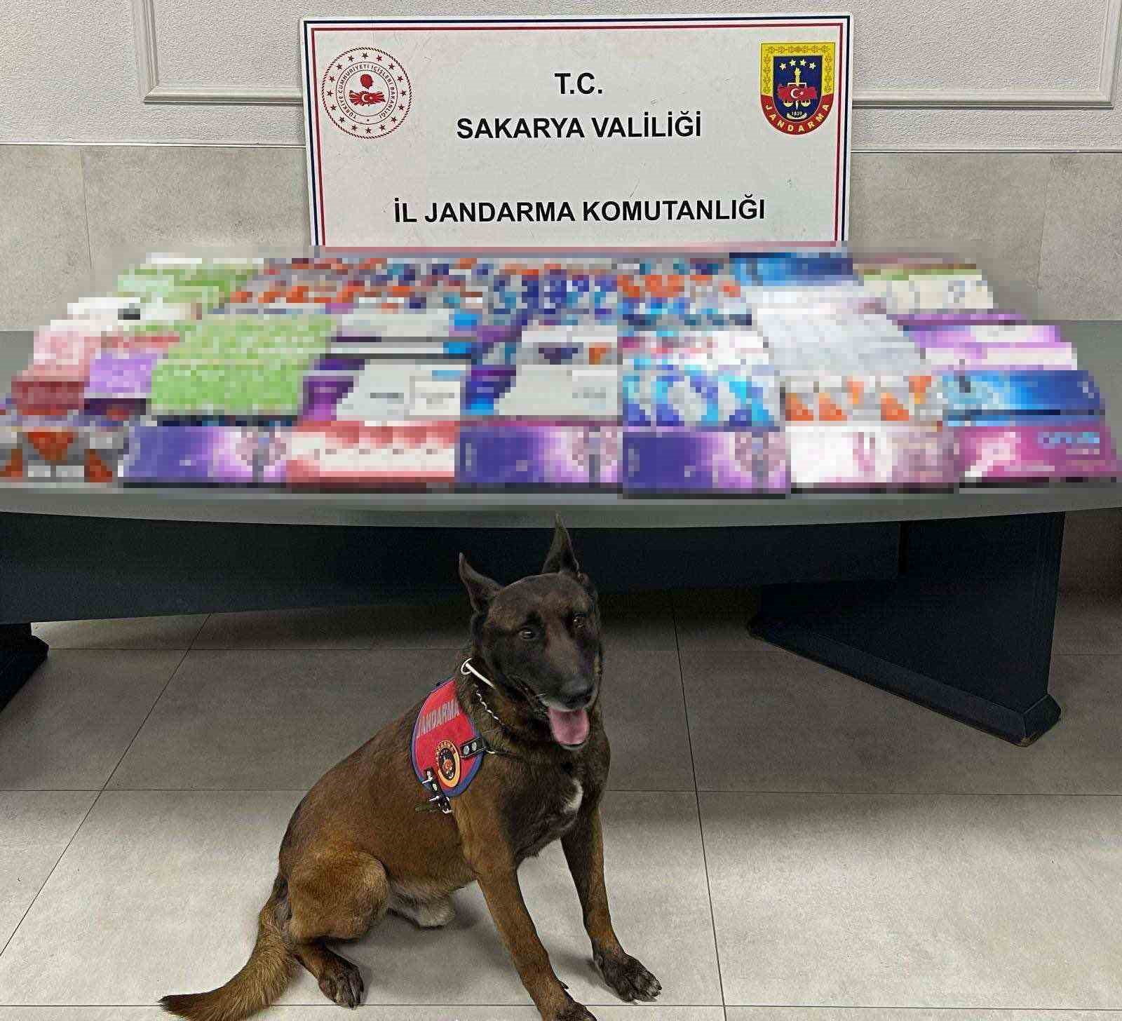 Sakarya’da kaçakçılığa jandarma izin vermiyor
