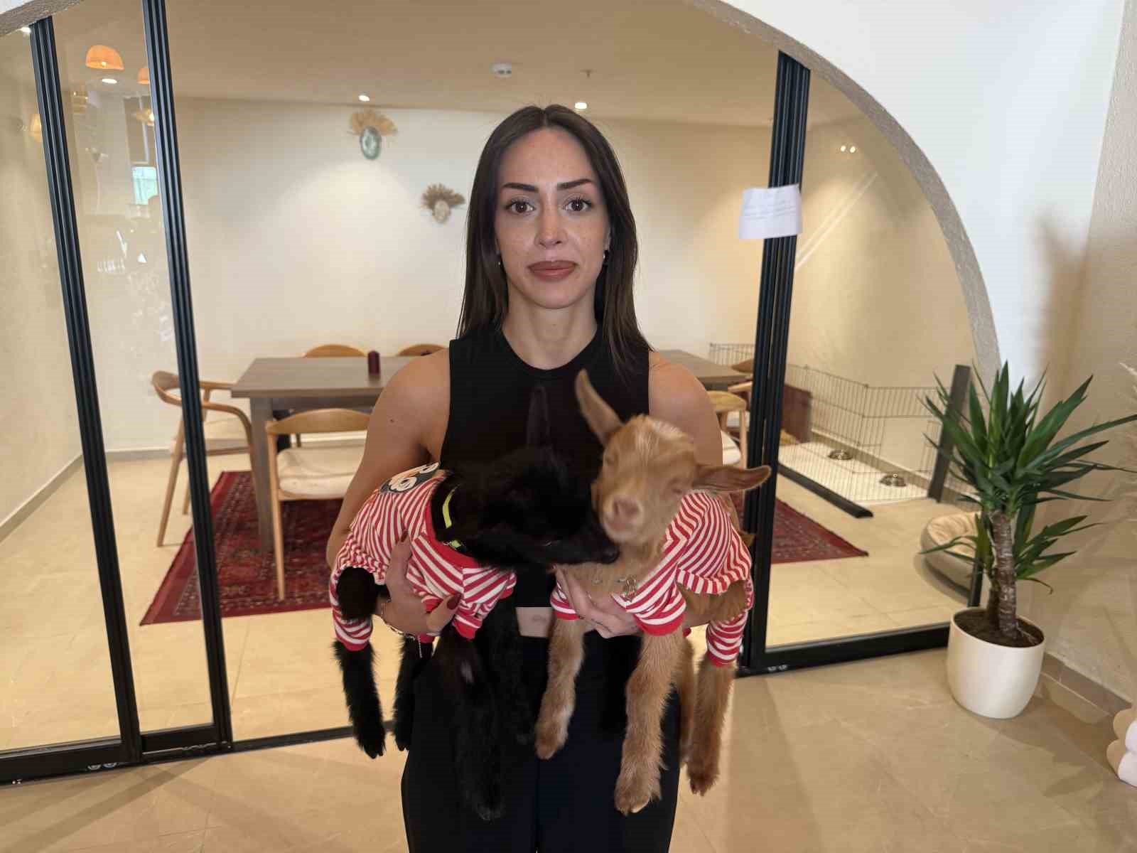Anneleri ölen oğlakları sahiplendi, işlettiği kafede bakmaya başladı
