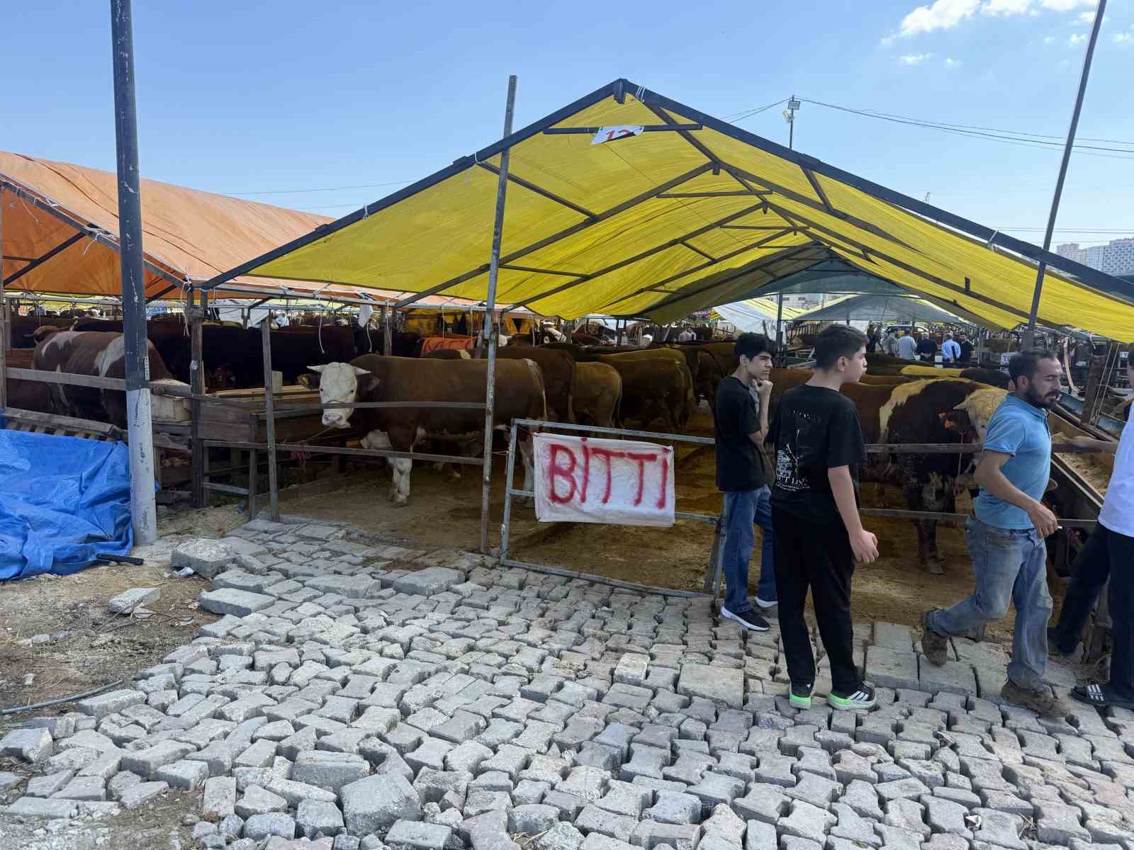 Avcılar’da kurbanlıkların büyük kısmı tükendi, satıcılar çadırlara ‘Bitti’ yazısını astı
