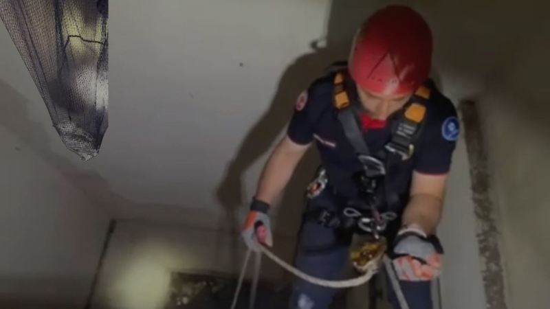 Apartman boşluğuna düşen yavru martı ekiplerce kurtarıldı